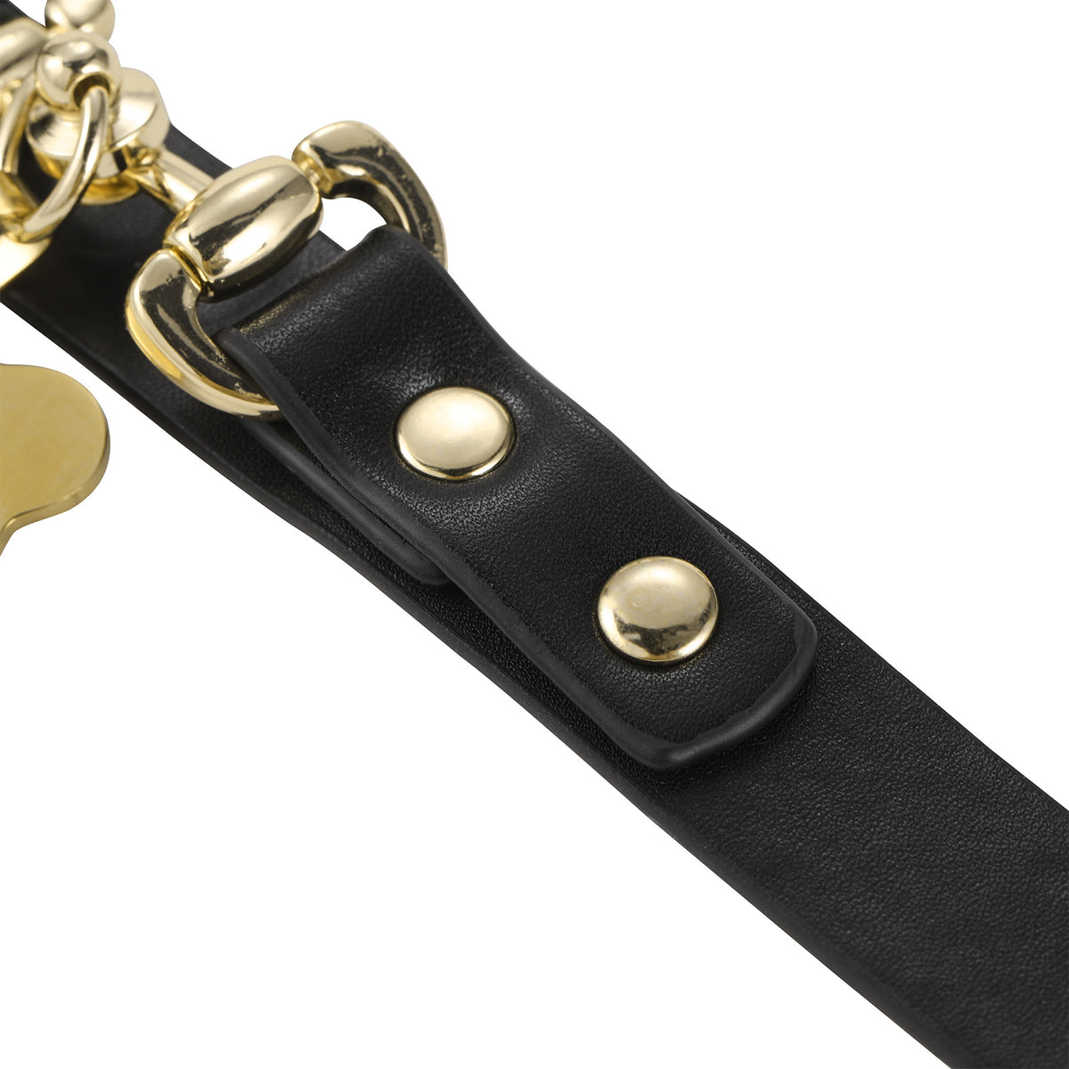 Landofgenie Adjustable PU Leather Decorative Collar