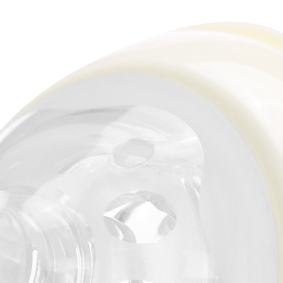 Landofgenie Cute Adult Glass Bottle - Bear