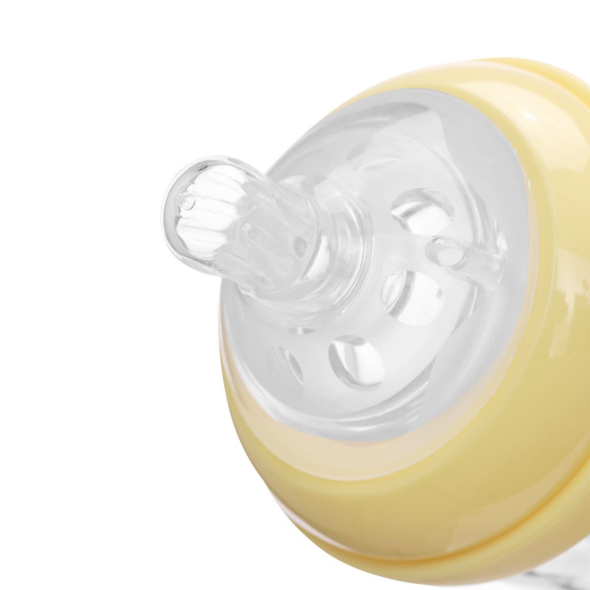 Landofgenie Cute Adult Glass Bottle - Baking Cats