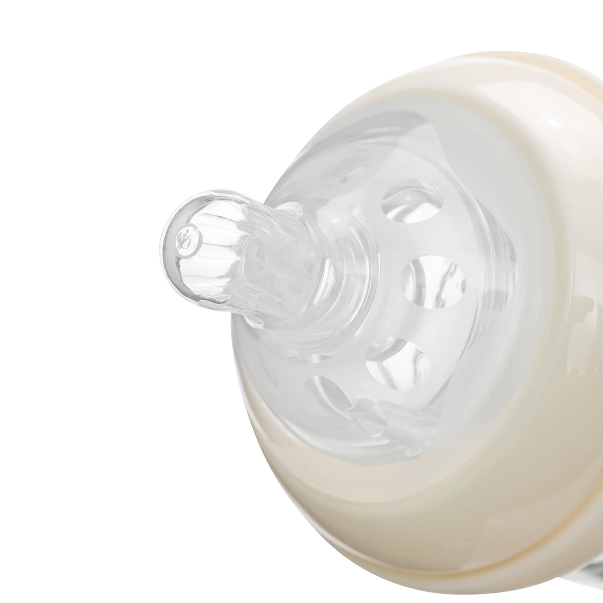 Landofgenie Cute Adult Glass Bottle - Ancient Dinosaurs