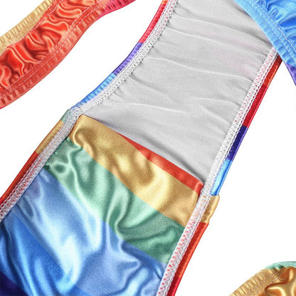 Landofgenie No gender hiding Thong Tucking Gaff Panties - Rainbow - landofgenie